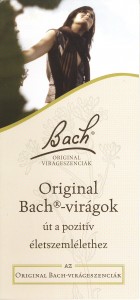 Bach tájékoztató