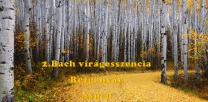 Bach 2. virágesszencia Rezgőnyár