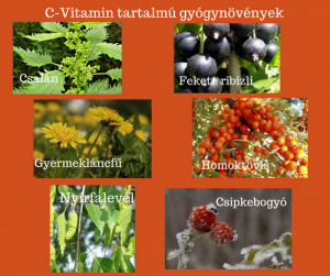 C vitamintartalmú gyógynövények