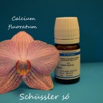 Calcium fluoratum D12 Schüssler só Nr 1