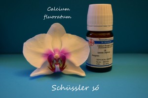 Calcium fluoratum D6 Schüssler só