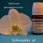 Calcium phosphoricum D6 Schüssler só