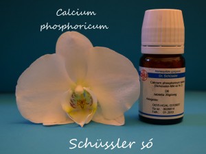Calcium phosphoricum D6 Schüssler só