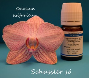 Calcium sulfuricum D6 Schüssler só Nr 12