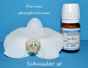 Ferrum phosphoricum Schüssler só Nr 3