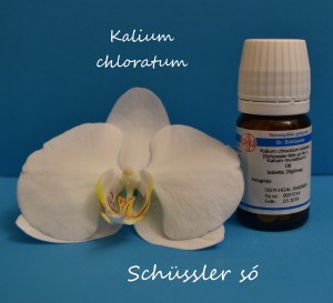 Kalium chloratum D6 Schüssler só Nr 4