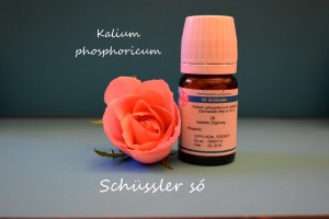 Kalium phosphoricum D6 Schüssler só Nr5