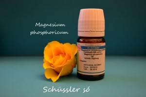 Magnesium phosphoricum D6 Schüssler só Nr 7