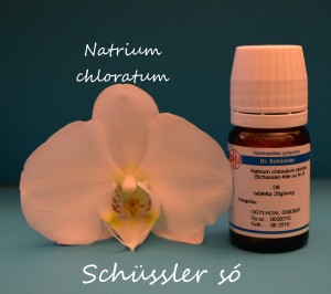 Natrium Chloratum D6 Schüssler só Nr 8