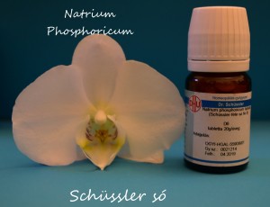 Natrium phosphoricum D6 Schüssler só Nr 9