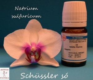 Natrium sulfuricum Schüssler só l