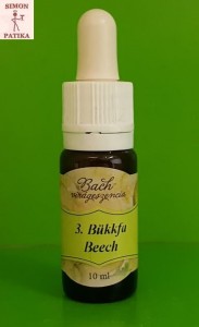 Bükkfa  Beech Bach virágeszencia