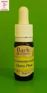 Cseresznyeszilva Cherry Plum Bach virágesszencia