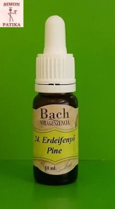Erdeifenyő Pine Bach virágeszencia