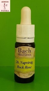 Napvirág Rock Rose Bach virágeszencia