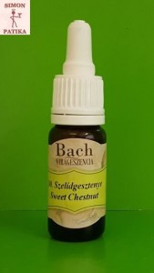 Szelídgesztenye Sweet Chestnut Bach virágeszencia