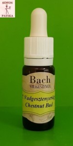 Vadgesztenyerügy Chestnut Bud Bach virágeszencia