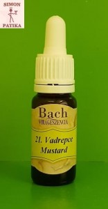 Vadrepce Mustard Bach virágeszencia