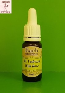 Vadrózsa Wild Rose Bach virágeszencia