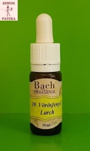 Vörösfenyő Larch Bach virágeszencia